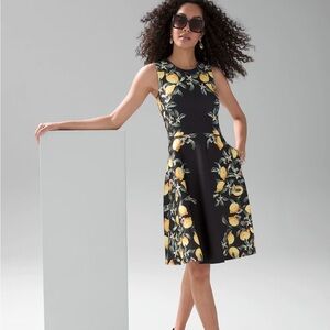 NWT WHBM Scuba Knit Fit & Flare Dress, size 6